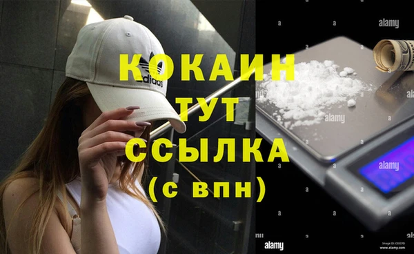 винт Алексин