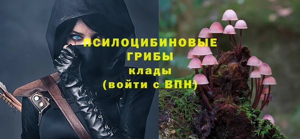 винт Алексин