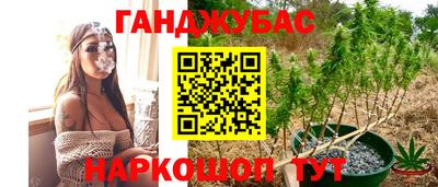 МДПВ Заводоуковск