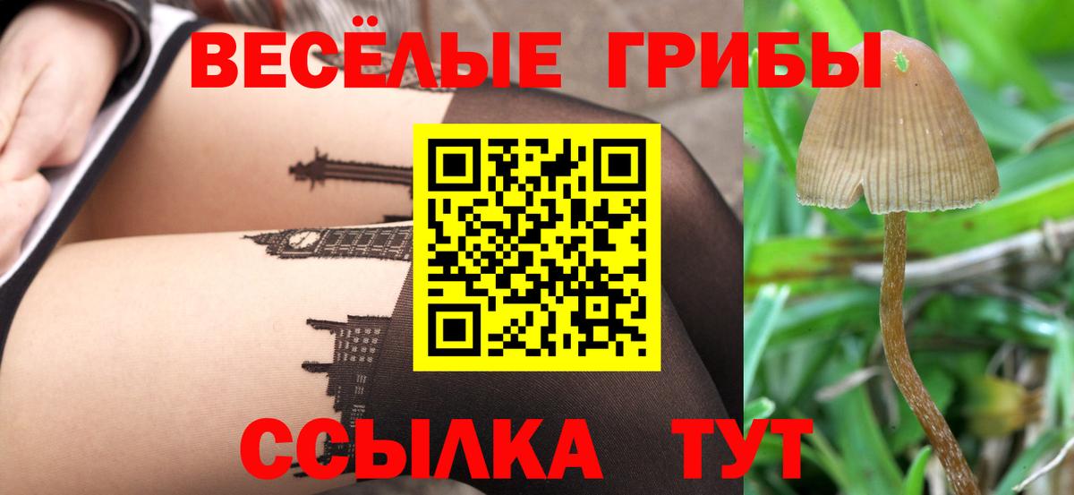 Мичуринск  Псилоцибиновые грибы ЛСД  купить  сайты  Вход с VPN 