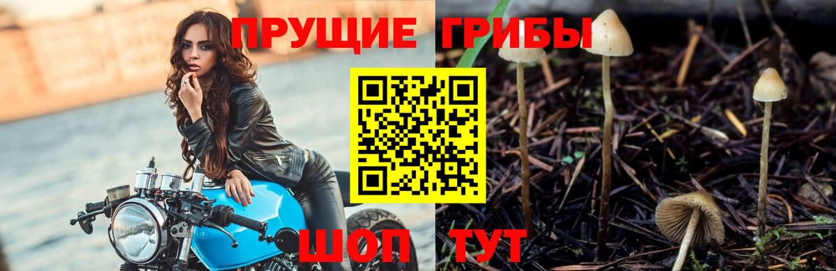 Галлюциногенные грибы Magic Shrooms Мичуринск